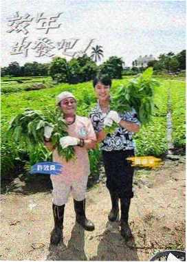 白鹿原影视大全 经典解读